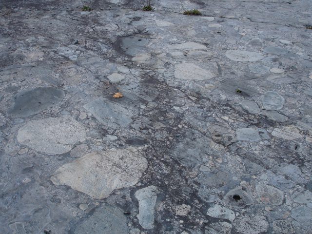 コバルトの枕状溶岩 Cart Lake のPillow Lava