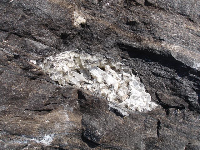 化石の炭酸カルシウムが結晶化
